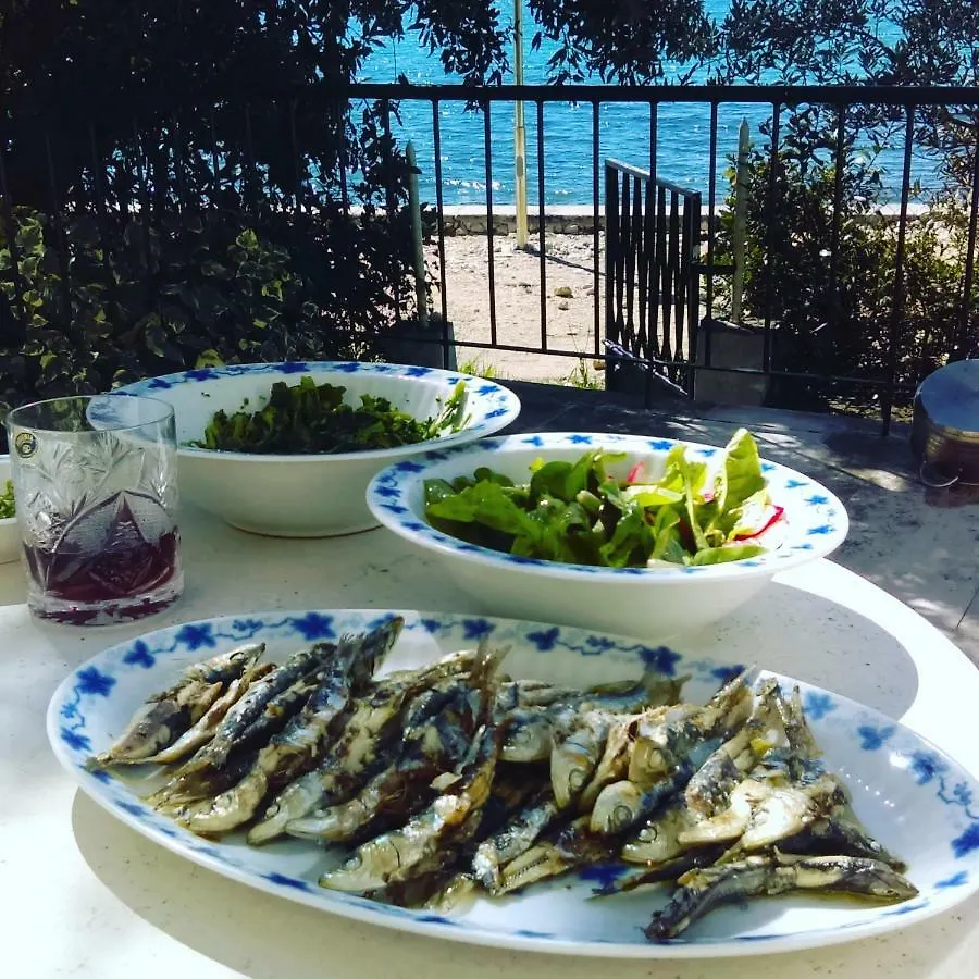 Beach House Paula Petrcane Apartment